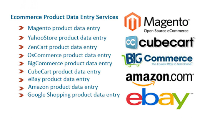 data entry ecommerce products