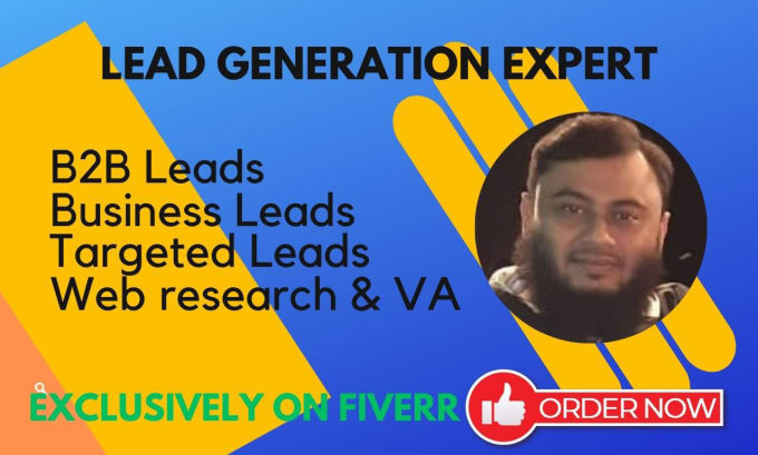 do VA job, b2b and google map lead generation, web research