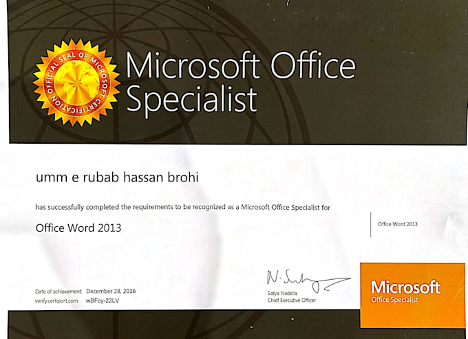 teach you microsoft word from beginner to advance