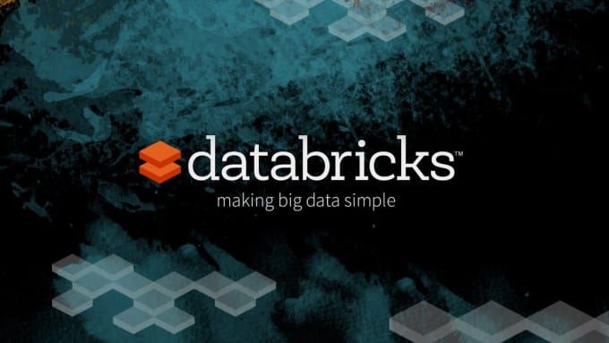 help you with data bricks