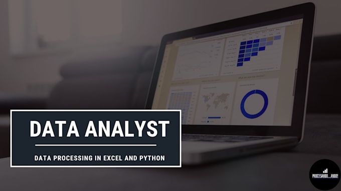 Do processing data in excel and python by Dianacavar | Fiverr