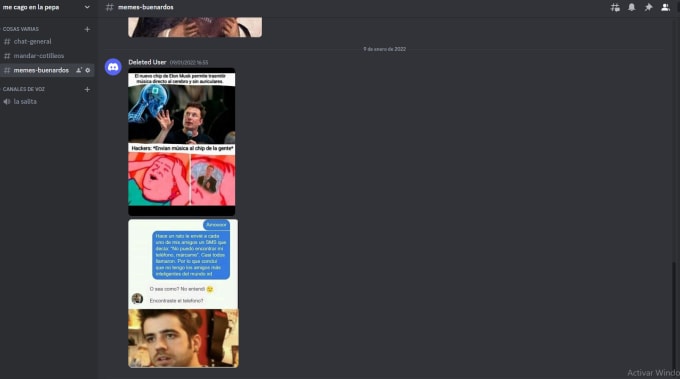 Moderate a discord server by Janirasilva | Fiverr