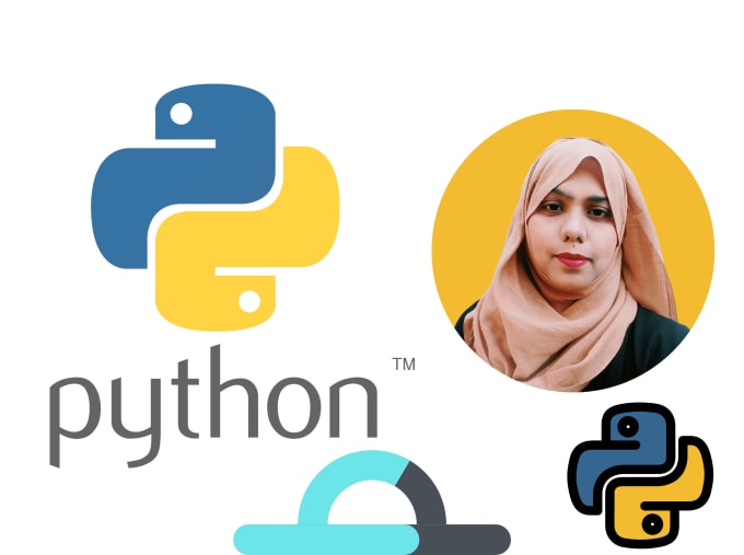 Do python scripting and programming tasks by Works_scott | Fiverr image.