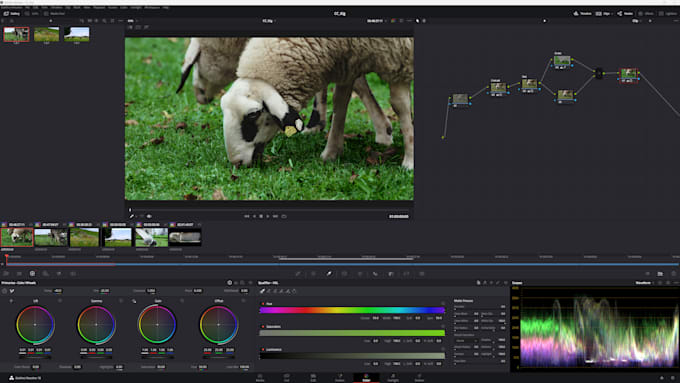 create professional color grading
