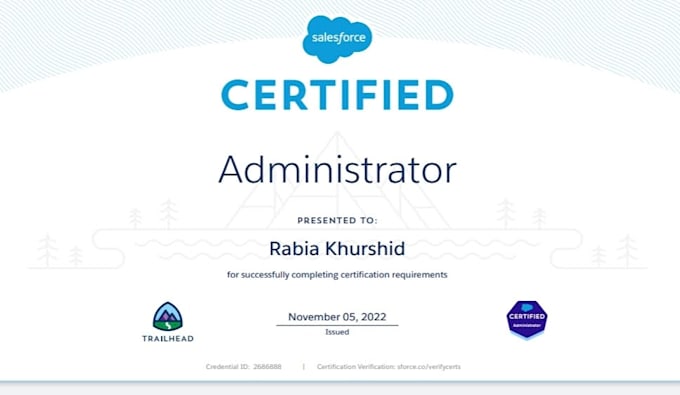 train you to be a salesforce expert