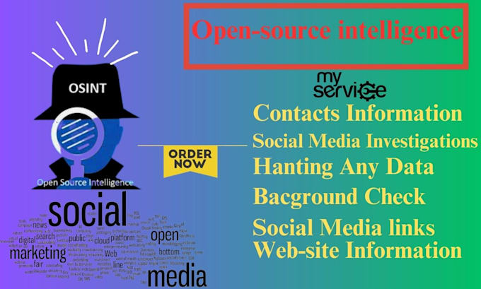 do you background check on any target osint