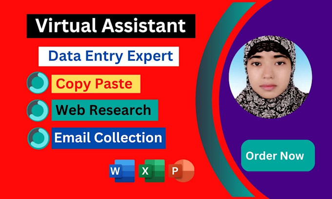 do data entry web research excel data copy paste and email collect