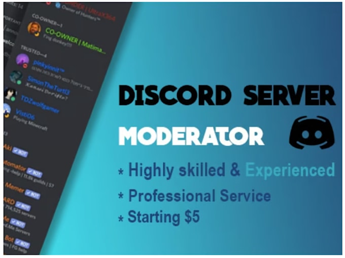Be your professional discord moderator, server moderator by Jerrym_pro