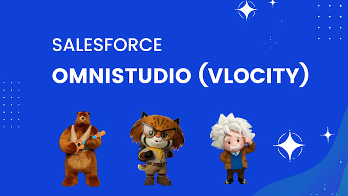 be your salesforce omnistudio developer and consultant