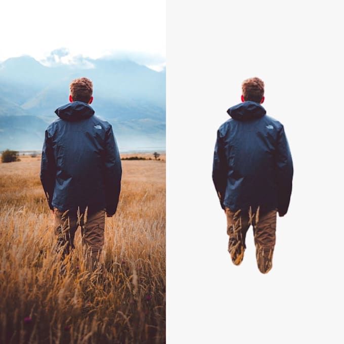 remove the background from the image