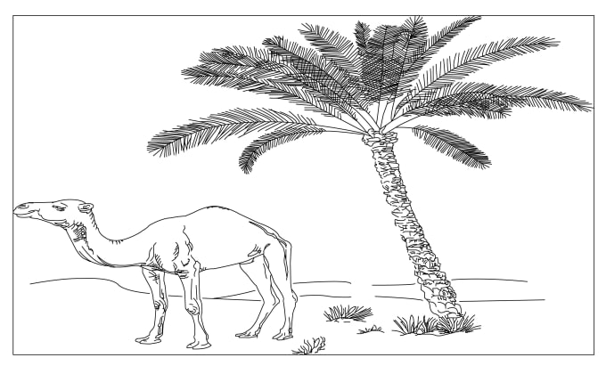 Illustrate black and white line art and coloring book pages by Munna