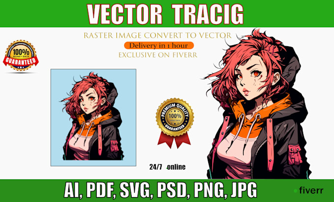 professional raster image convert to vector, vector tracing
