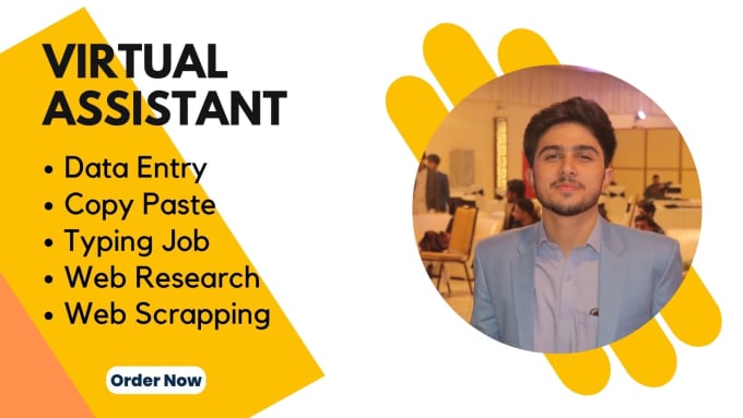 be your virtual assistant for data entry, copy paste and web research