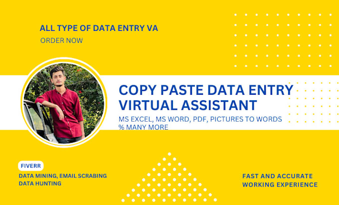 professional virtual assistant for data entry and internet research