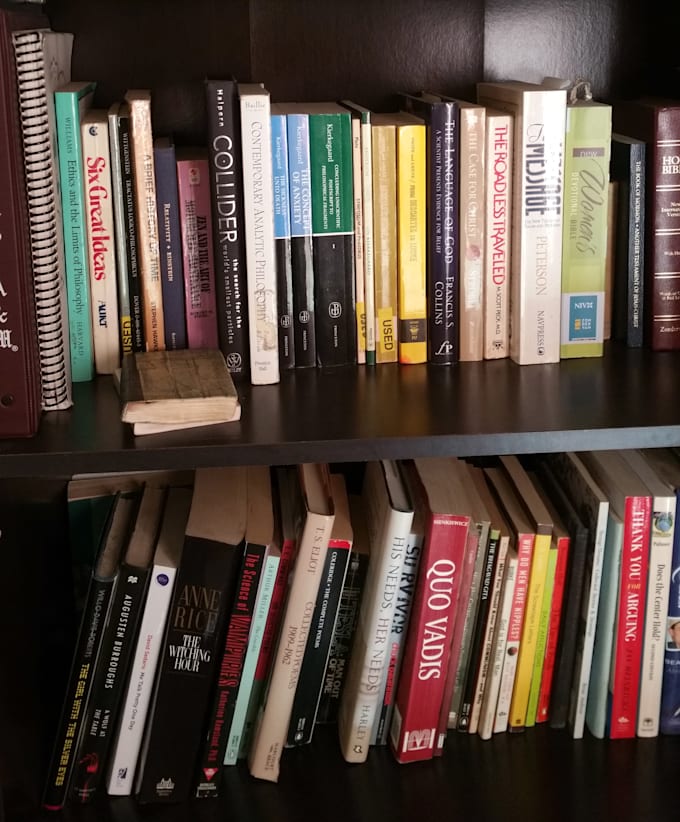 critique your novel outline and notes