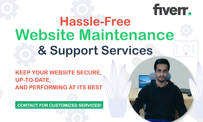 provide website maintenance and support