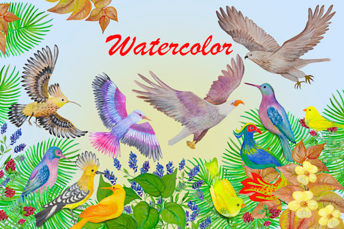 draw watercolor nature of birds and animals