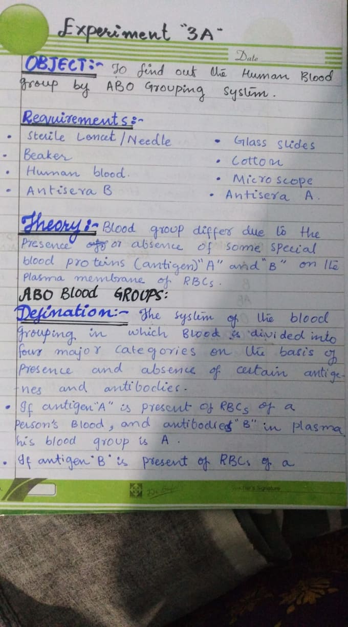 do handwriting your documents  assignment notes letter  scan and pdf