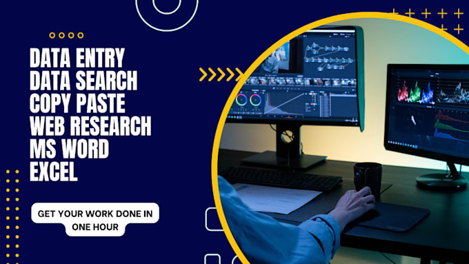 do all types of data entry over ms word or ms excel