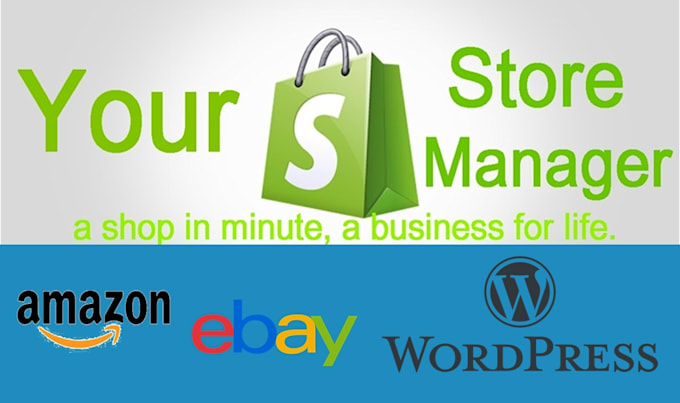 manage amazon, ebay, wordpress, shopify, store full time