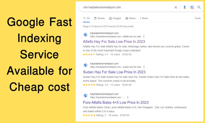 indexing your wordpress website urls in google within 1 day