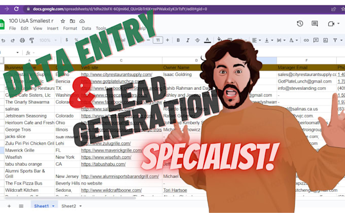 be your virtual assistant for data entry, web research, and excel tasks