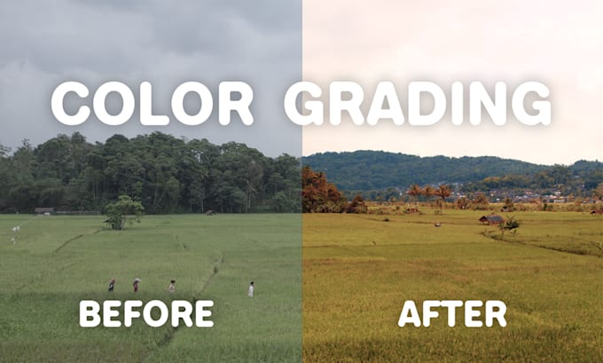 do color grading and color correction