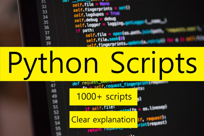 Write python scripts and explain them by Eviloper | Fiverr
