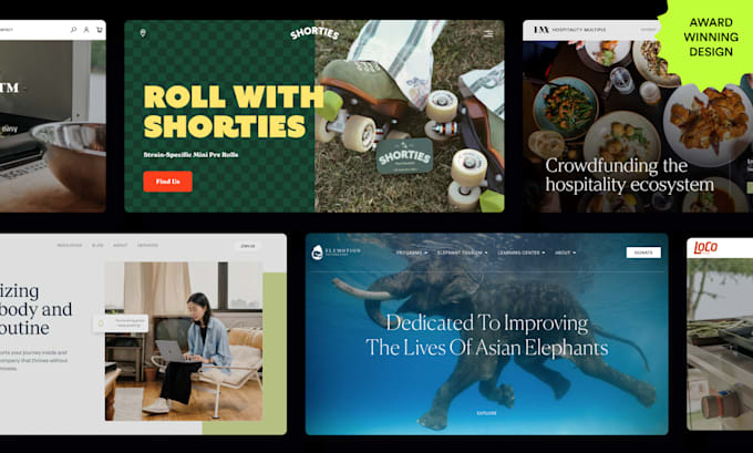 launch an impactful website from end to end on wordpress