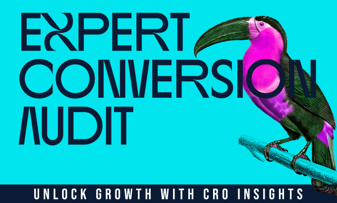 complete a cro website audit to increase sales