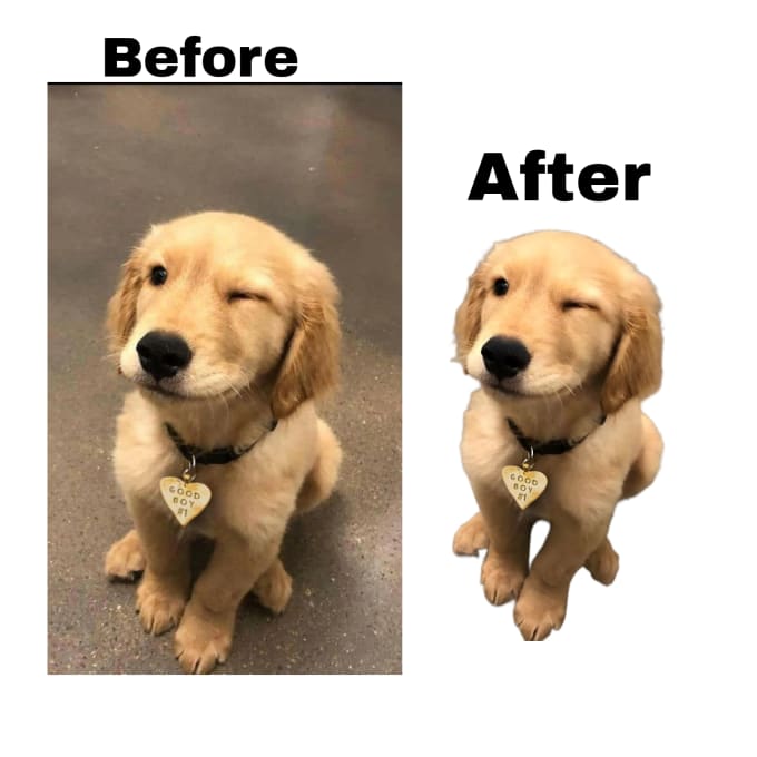 make your images have a transparent background and turn them into png