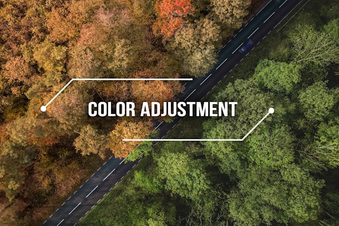 elevate your projects with expert visual effects