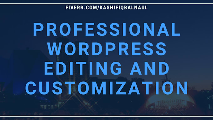 do professional wordpress editing and customization
