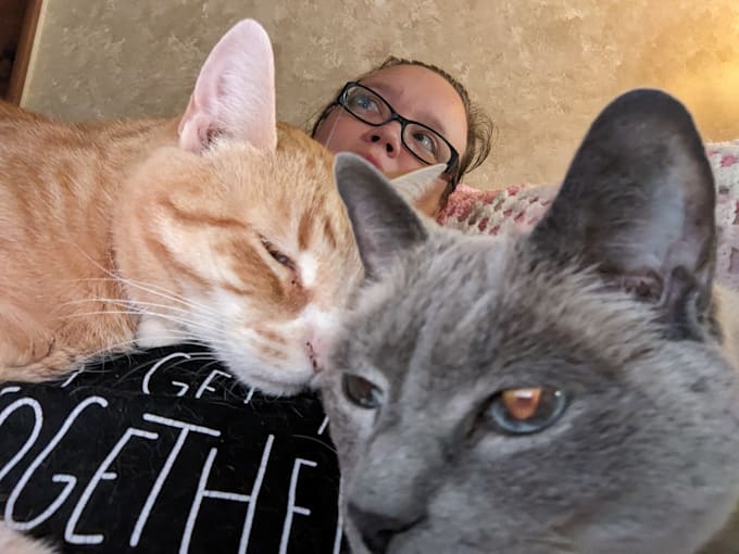 pet sit for your fur kids