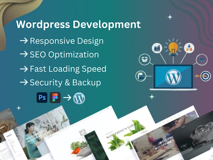 build wordpress website design and development
