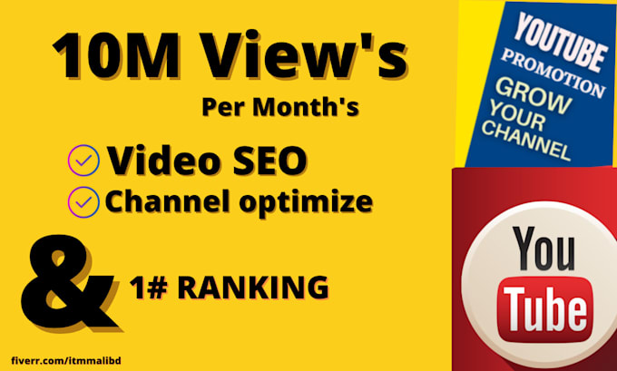 manage your channel and  video SEO section