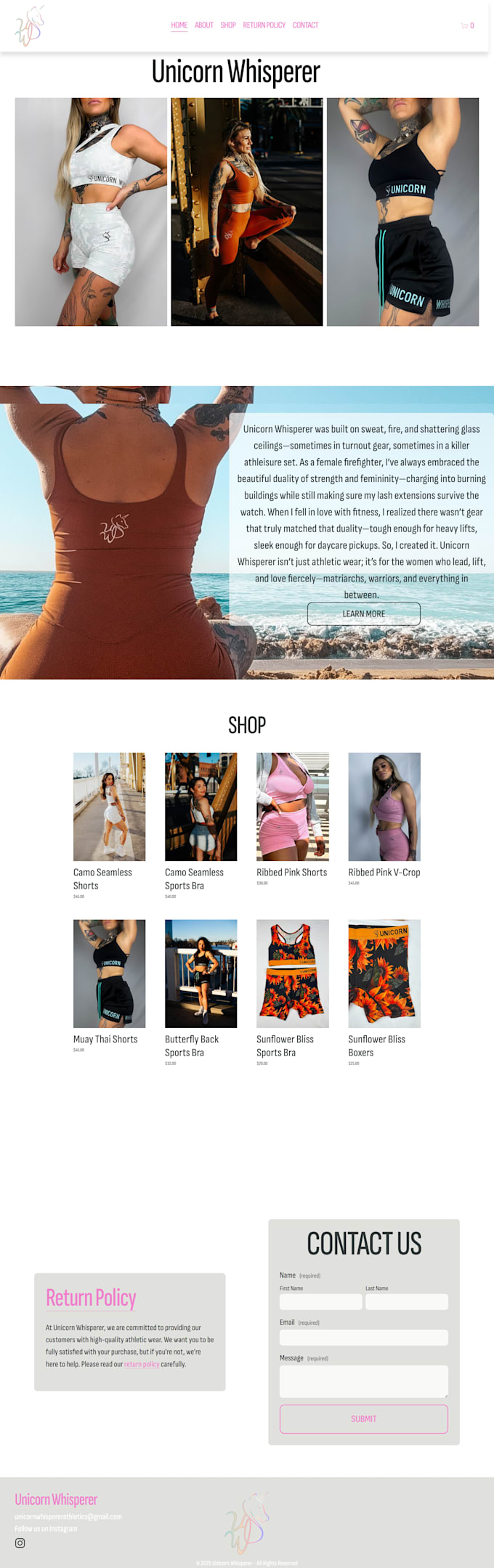 design and develop a professional shopify ecommerce website