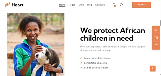 design redesign fix crowdfunding charity donation website nonprofit organization