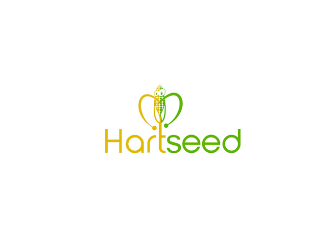 design superior conventional corn farm logo