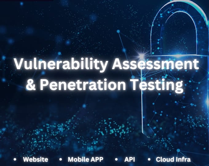 conduct vapt testing on your web application
