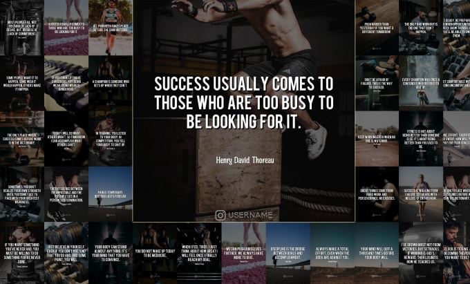 Design 100 fitness motivational quotes for instagram by Saml4zar | Fiverr