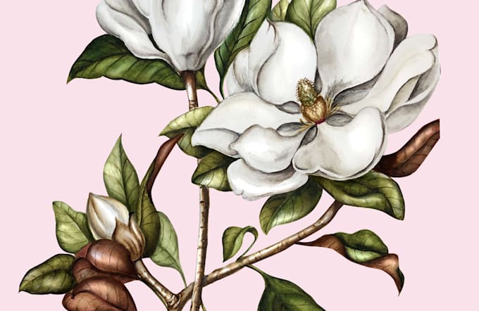 paint watercolour botanical illustrations