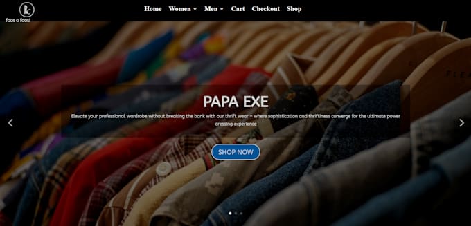 build professional and responsive wordpress website design