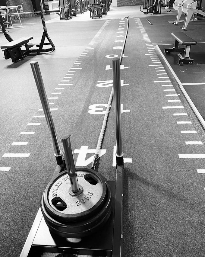 Create A Custom Workout Routine Or Meal Plan By Jannatfe Fiverr