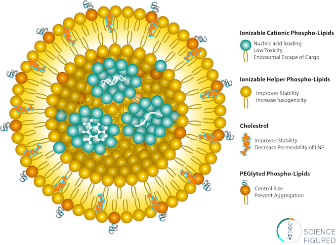 create scientific illustrations for your next project
