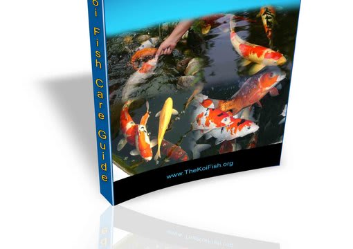 design and create ebook cover within 4days