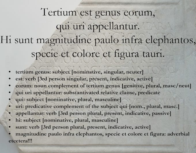 do a morphosyntactic analysis of your Latin text