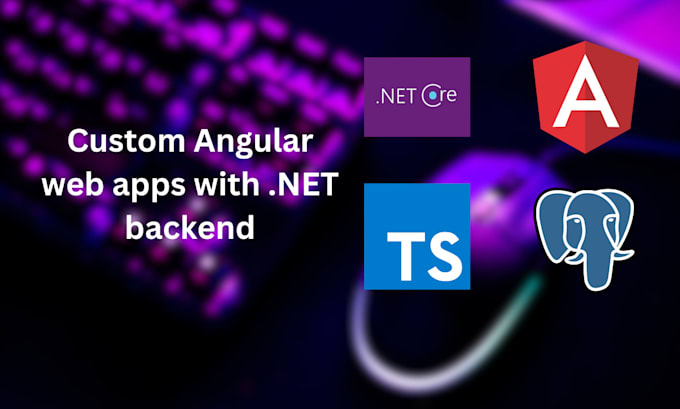 Develop custom angular web apps with net backend by B3rl1ch | Fiverr