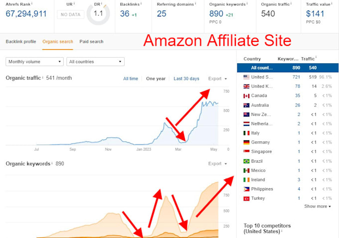 recover your site from google update hit