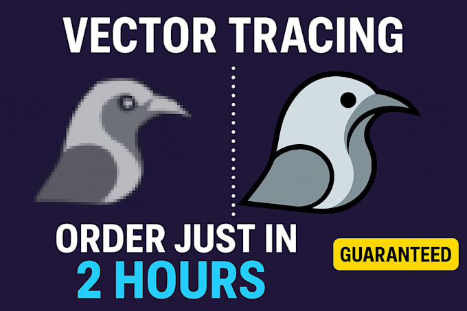 do professional tracing logo or images in vectors